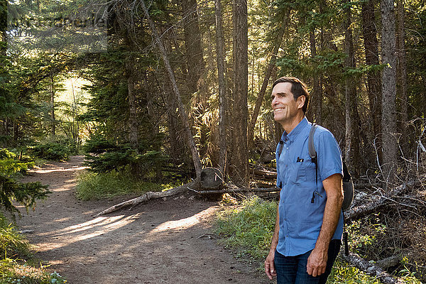 Glücklicher älterer männlicher Wanderer im Wald  Canmore  Alberta  Kanada