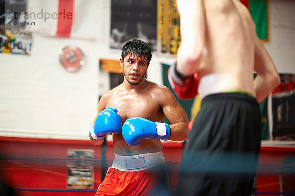 Sparring zweier Boxer im Boxring