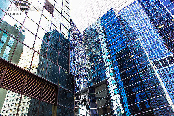USA  New York  Reflektionen in Bürogebäuden
