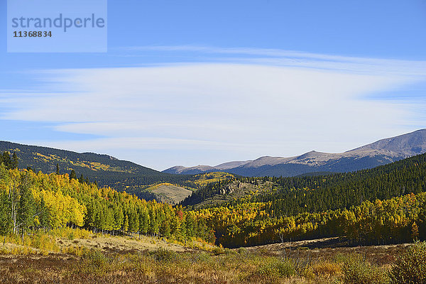 USA  Colorado  Panoramablick auf den Kenosha-Pass