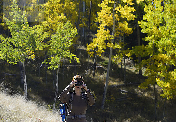 USA  Colorado  Kenosha Pass  Seniorin beim Fotografieren am Kenosha Pass