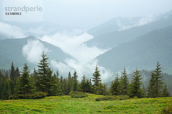 Ukraine  Zakarpattia  Bezirk Rachiw  Karpaten  Maramures  Berglandschaft