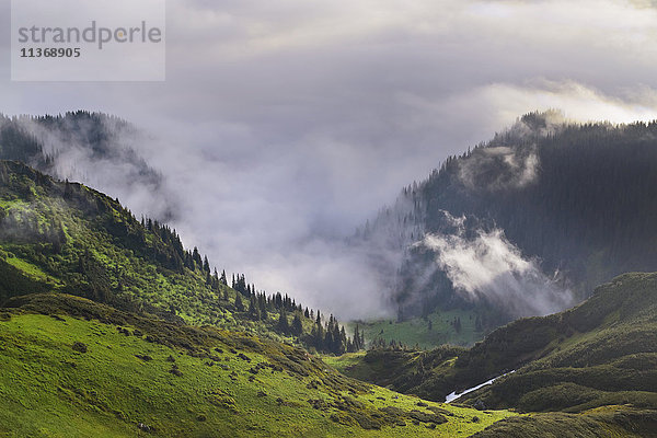 Ukraine  Zakarpattia  Bezirk Rachiw  Karpaten  Maramures  Berglandschaft