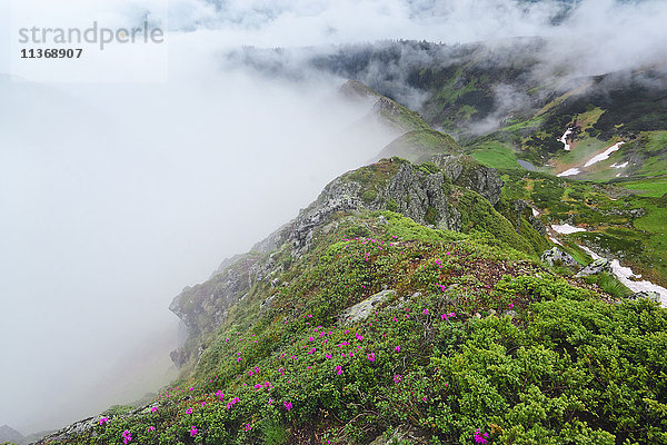 Ukraine  Zakarpattia  Bezirk Rachiw  Karpaten  Maramures  Berglandschaft