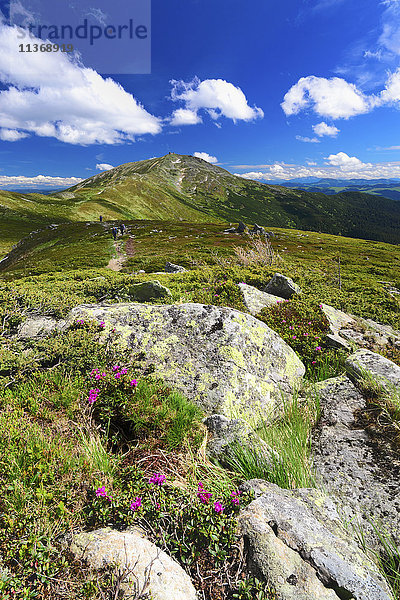 Ukraine  Gebiet Iwano-Frankiwsk  Bezirk Werchowyna  Karpaten  Tschernohora  Berglandschaft an einem sonnigen Tag