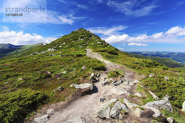 Ukraine  Gebiet Iwano-Frankiwsk  Bezirk Werchowyna  Karpaten  Tschernohora  Berglandschaft an einem sonnigen Tag