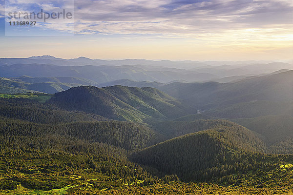 Ukraine  Gebiet Iwano-Frankiwsk  Bezirk Werchowyna  Karpaten  Tschernohora  bewaldete Berglandschaft