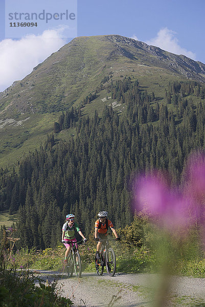 Zwei Mountainbiker fahren auf einer unbefestigten Straße durch den Wald  Zillertal  Tirol  Österreich