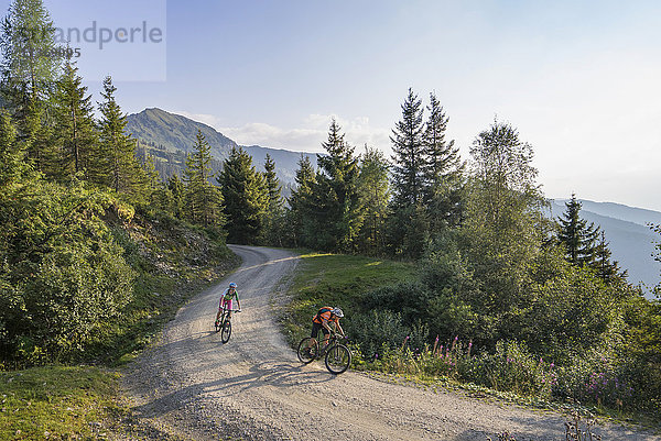 Zwei befreundete Mountainbiker fahren auf einer unbefestigten Straße durch den Wald  Zillertal  Tirol  Österreich