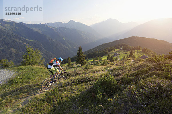 Mountainbiker beim Bergauffahren in alpiner Landschaft bei Sonnenuntergang  Zillertal  Tirol  Österreich