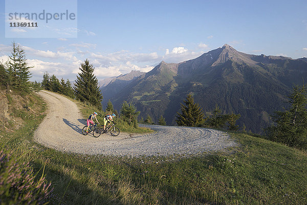 Zwei Mountainbiker fahren auf einem Feldweg in alpiner Landschaft  Zillertal  Tirol  Österreich