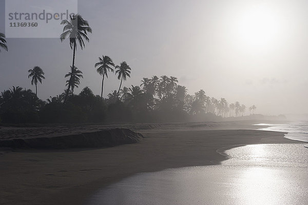 Blick auf den Strand bei Sonnenuntergang  Tangalle  Südprovinz  Sri Lanka