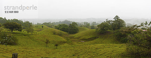 Landschaftliche Aussicht auf sanfte Hügel  Chilamate  Costa Rica