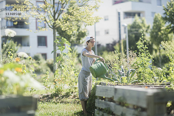 Ältere Frau bewässert Pflanzen im städtischen Garten