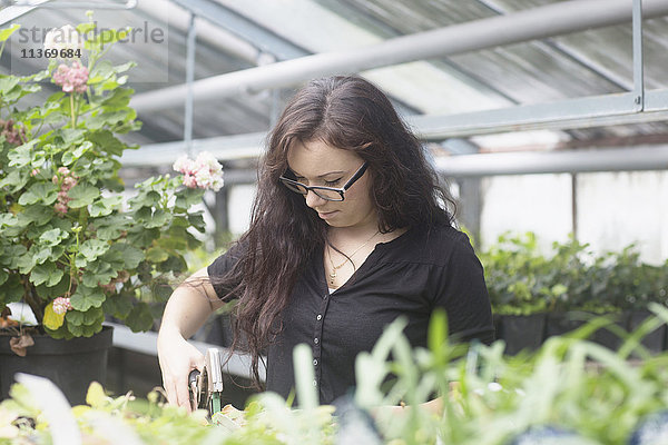 Junge Frau arbeitet in einem Garten