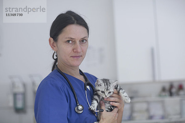 Tierarzt mit Katze  Breisach  Baden-Württemberg  Deutschland