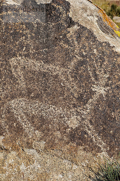 Zentralasien  Kirgisistan  Issyk Kul Provinz (Ysyk-Köl)  Issyk Kul See  Cholpon Ata  Petroglyphe mit Jagdszene