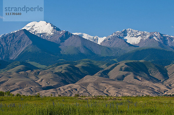 Zentralasien  Kirgisistan  Issyk Kul Provinz (Ysyk-Köl)  Issyk Kul See  Barskoon Berge