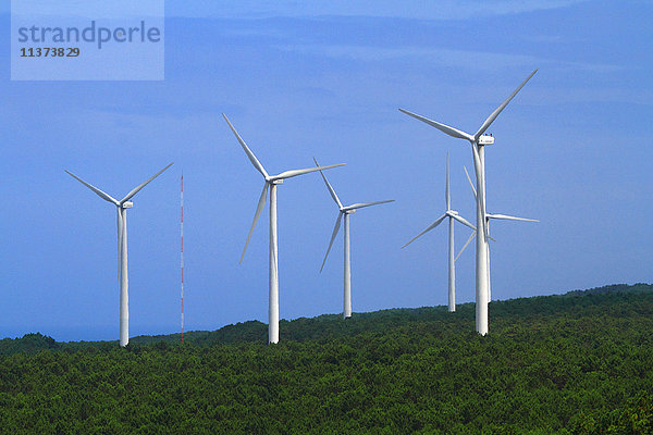 Portugal  Nazare. Windmühle.