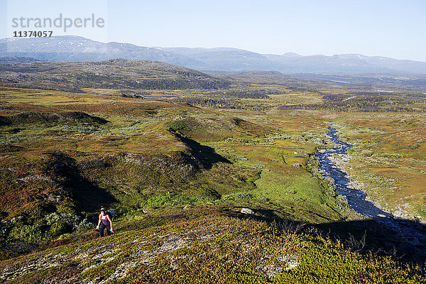 Landschaft mit Bergen im Hintergrund