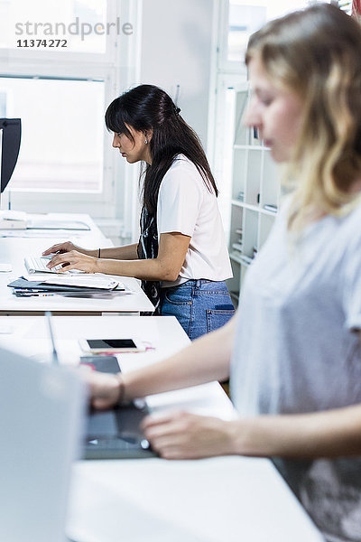 Frauen im Büro am Computer