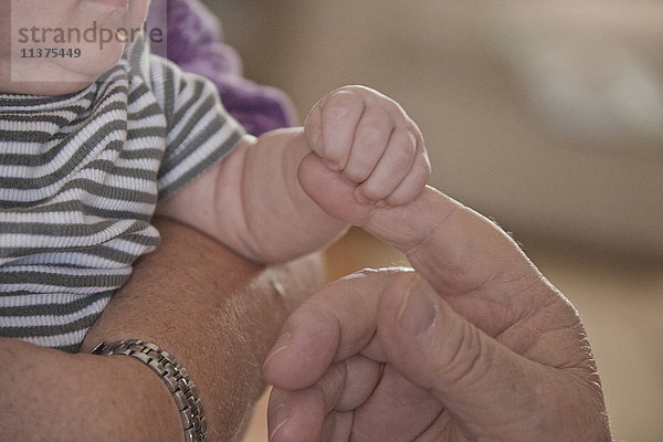 Kaukasischer kleiner Junge hält den Finger seines Großvaters