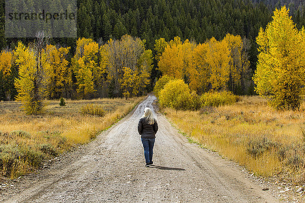 Kaukasische Frau  die im Herbst auf einem Waldweg spazieren geht