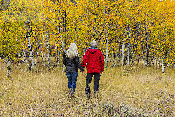 Kaukasisches Paar beim Spaziergang im Wald im Herbst