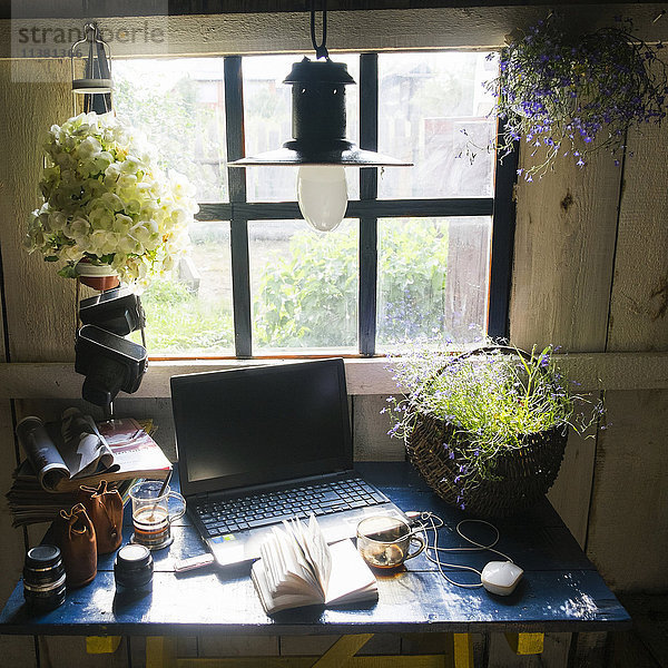 Laptop und Pflanzen am rustikalen Fenster