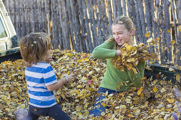 Kaukasischer Bruder und Schwester  die Herbstblätter werfen