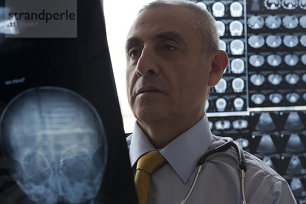 Hispanischer Arzt untersucht Röntgenbild des Schädels
