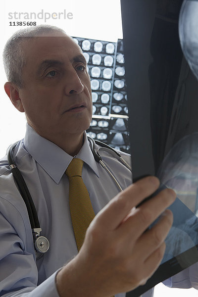 Hispanischer Arzt bei der Untersuchung von Röntgenbildern