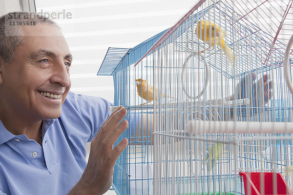 Lächelnder hispanischer Mann bewundert Vögel im Vogelkäfig