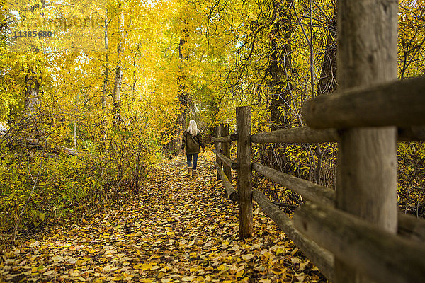 Kaukasische Frau  die im Herbst in der Nähe eines Holzzauns spazieren geht