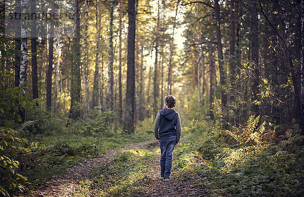 Kaukasischer Junge wandert im Wald