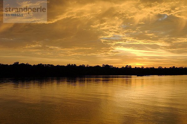 Sonnenuntergang über dem Fluss Selangor  Kampung Kuantan Firefly Park  Malaysia  Asien
