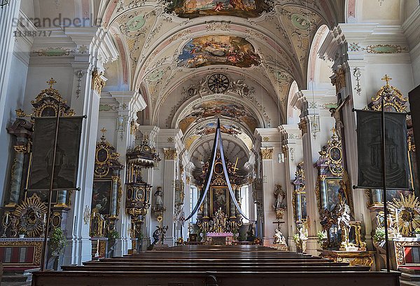 Innenraum der Klosterkirche St. Peter und Paul in Weyarn  Oberbayern  Bayern  Deutschland  Europa