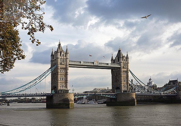 Tower Bridge  Herbst  London  England  Großbritannien  Europa