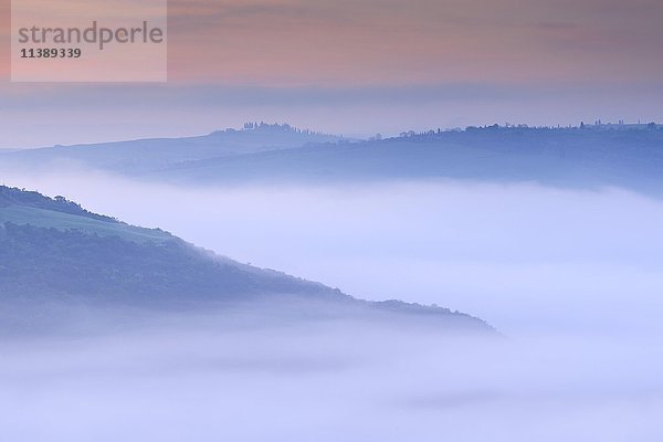 Morgennebel in den Hügeln der Toskana  Val d'Orcia  San Quirico d'Orcia  Toskana  Italien  Europa