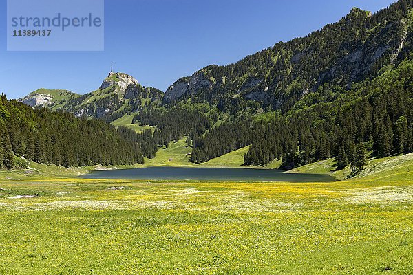Sämtisersee mit Blick auf den Hohen Kasten  Rüte  Kanton Appenzell Innerrhoden  Schweiz  Europa
