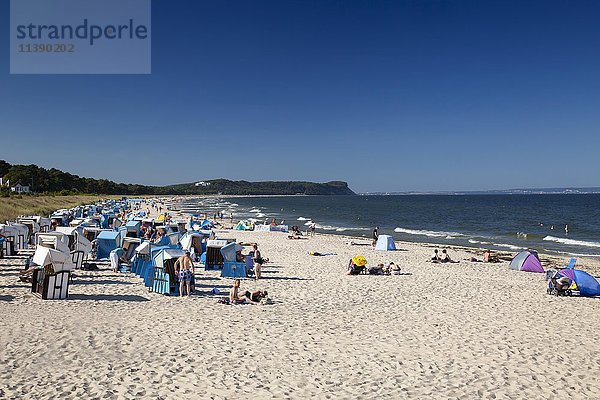 Strandkörbe am Strand an der Ostseeküste  Göhren  Rügen  Mecklenburg-Vorpommern  Deutschland  Europa