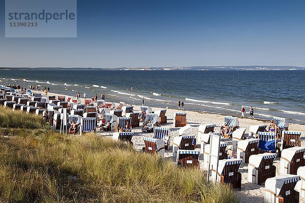 Strandkörbe  Ferien- und Kurort  Binz  Insel Rügen  Mecklenburg-Vorpommern  Deutschland  Europa