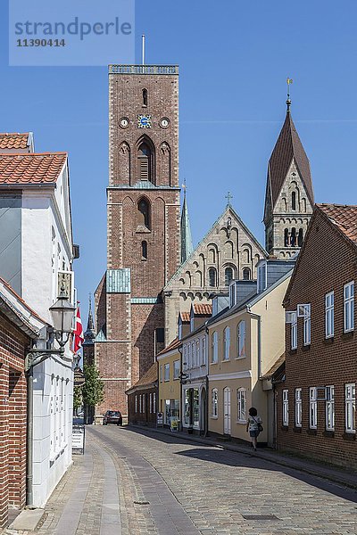 Kathedrale  Ribe  Jütland  Dänemark  Europa