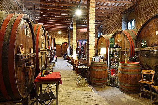 Fässer im Keller  Weinkellerei Antica Cantina San't Amico  Morro D'Alba  Marken  Italien  Europa