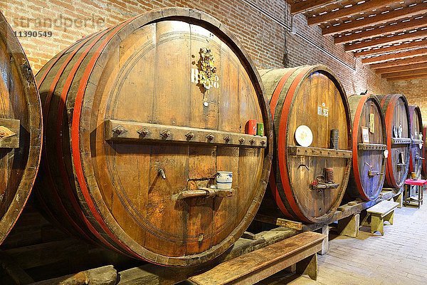 Fässer im Keller  Weinkellerei Antica Cantina San't Amico  Morro D'Alba  Marken  Italien  Europa