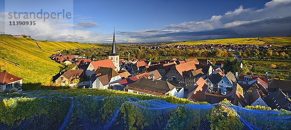 Escherndorf im Herbst  Weinberge  dunkle Wolken  dahinter Nordheim  Unterfranken  Franken  Bayern  Deutschland  Europa