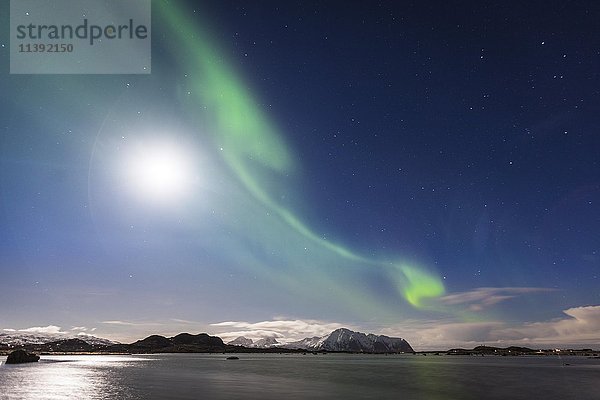 Nordlichter  Aurora Borealis  Haukland Strand  mit Sandoya Insel  Vestvågøy  Lofoten  Norwegen  Europa