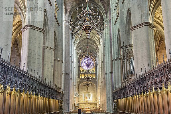 Chorgestühl  Kathedrale Notre-Dame  12.-16. Jahrhundert  Rodez  Aveyron  Languedoc-Roussillon-Midi-Pyrénées  Frankreich  Europa
