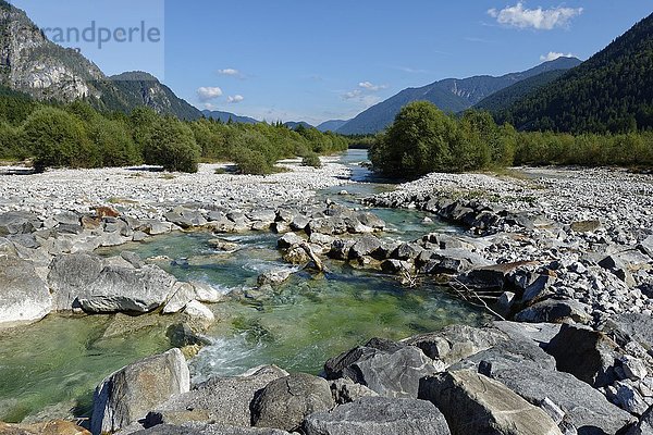 Obere Isar  Naturschutzgebiet Isartal  Tölzer  Oberbayern  Bayern  Deutschland  Europa