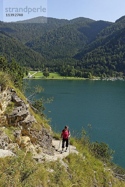 Wanderin auf dem Mariensteig  Achensee  Tirol  Österreich  Europa